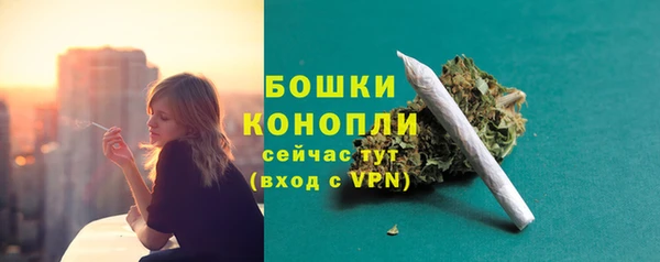ECSTASY Дмитров