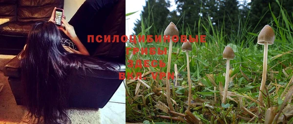 MDMA Дмитровск