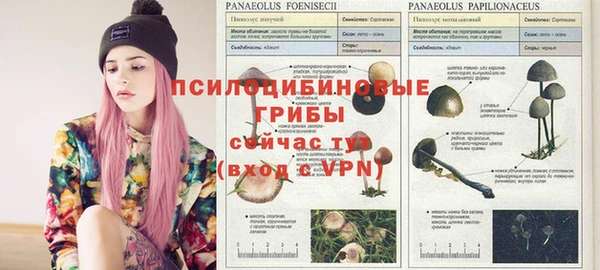 альфа пвп VHQ Дмитриев