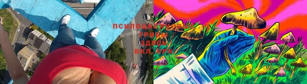 ECSTASY Дмитров