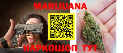 сатива Бийск