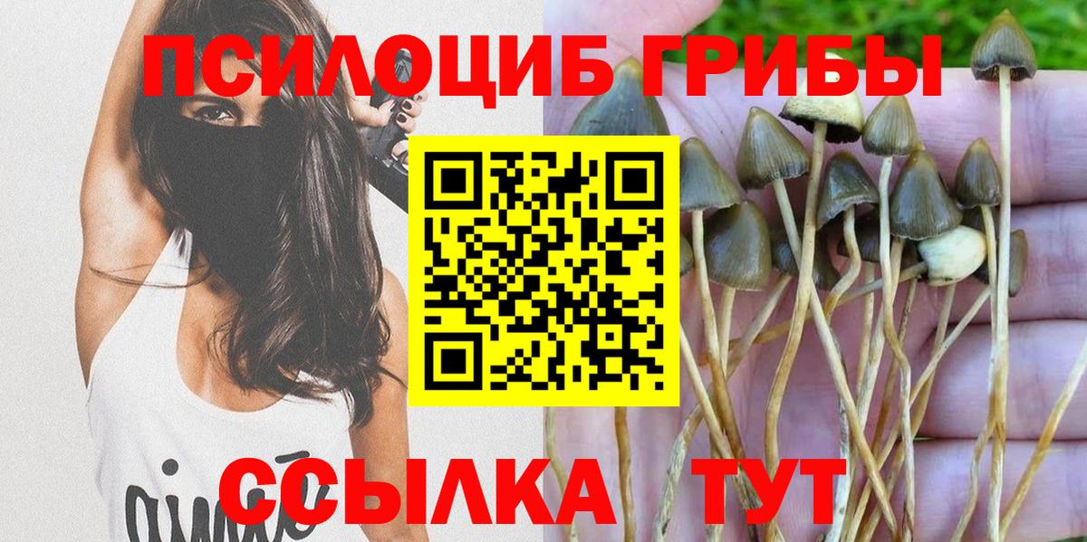Псилоцибиновые грибы ЛСД  Вход с VPN  Бор 