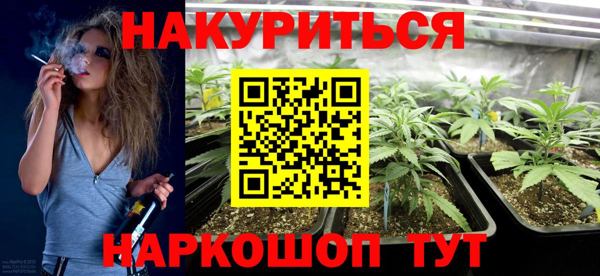 Бор  Конопля ГИДРОПОН  Каннабис Ganja  Шишки марихуана план  Вход с VPN 